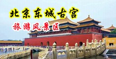 轻轻地挺进少妇体内摩擦视频中国北京-东城古宫旅游风景区